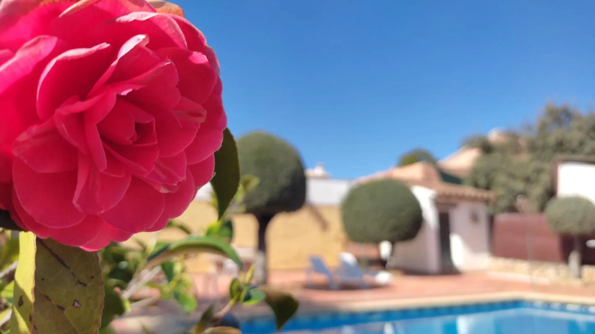 Holiday home Casa Maleda Villa Hornachuelos