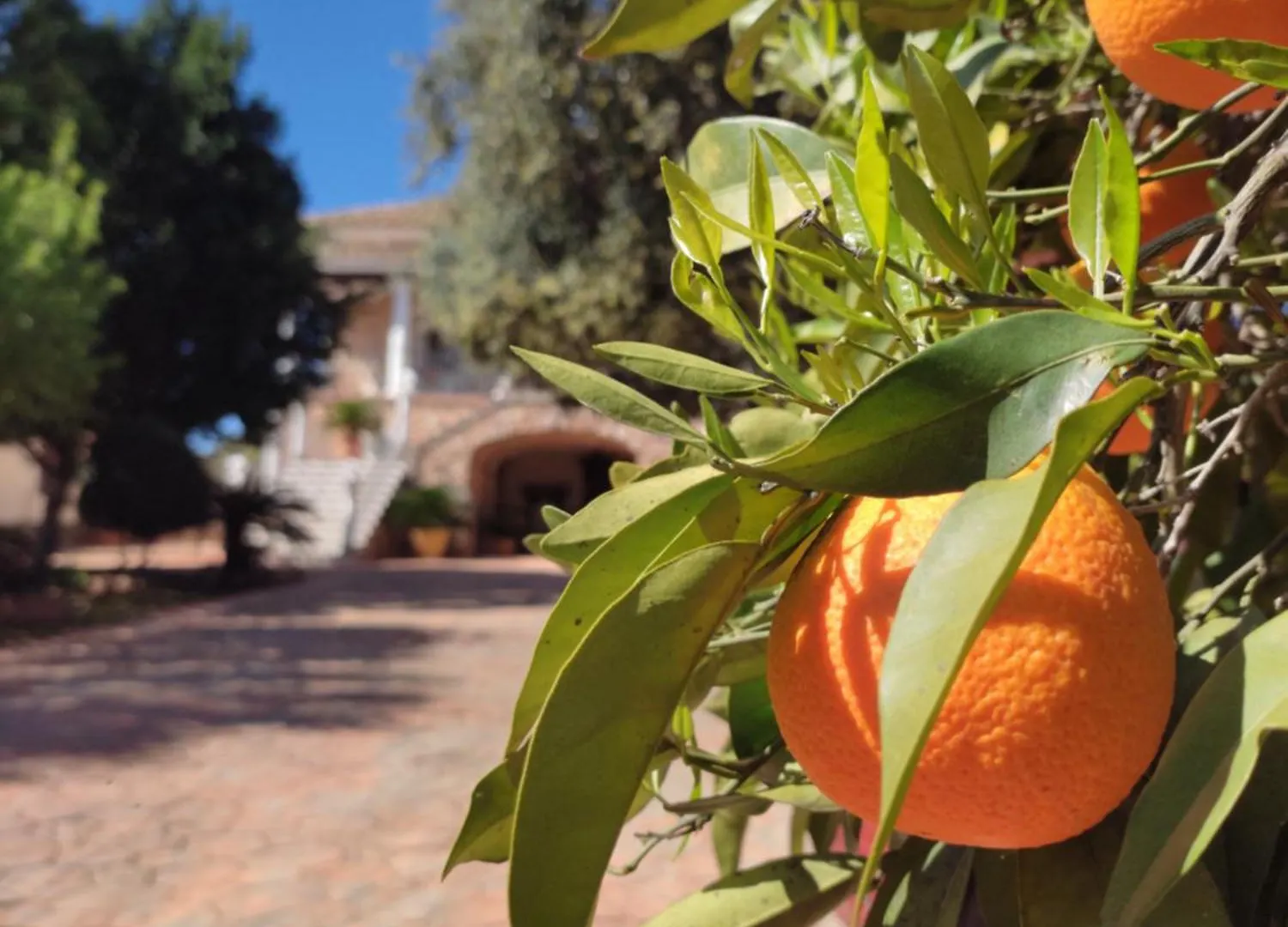 Casa Maleda Villa Hornachuelos